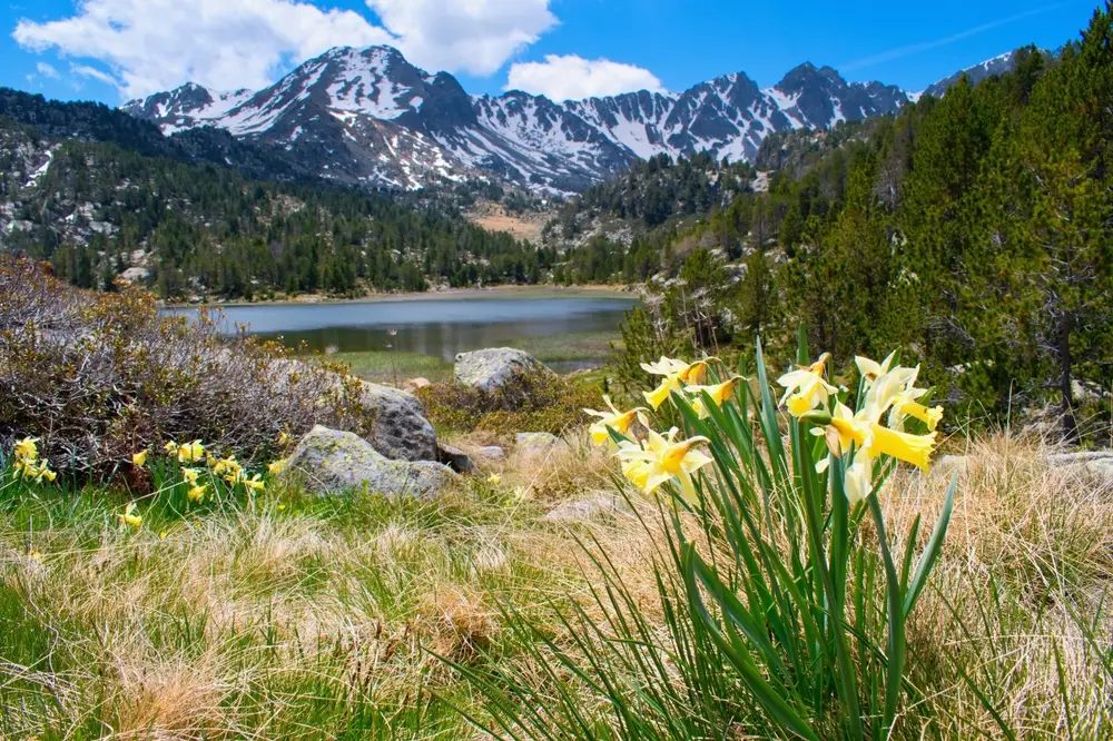 Vallée d'Andorre