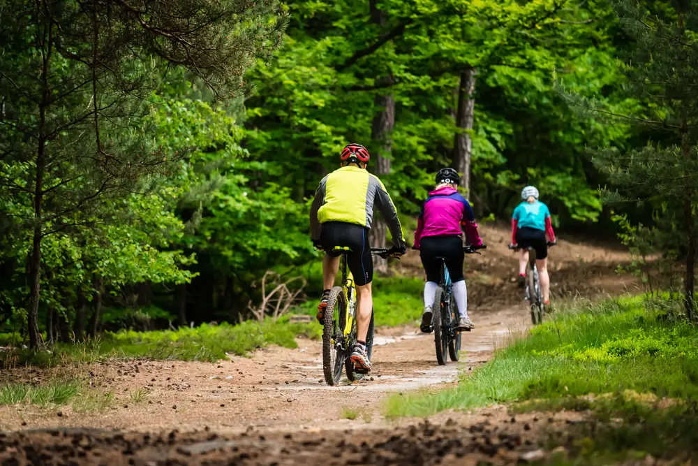 bike park
